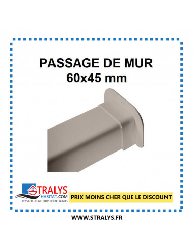 Passage De Mur Pour Raccords Goulottes 60x45 Mm - Ivoire