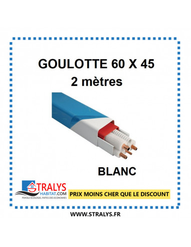 Goulotte - 60x45 mm - Blanche - 2 mètres